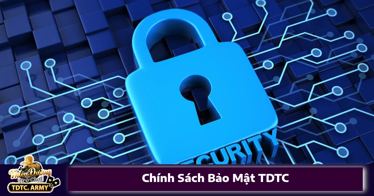 Chính Sách Bảo Mật TDTC Thu Thập Những Dữ Liệu Gì?
